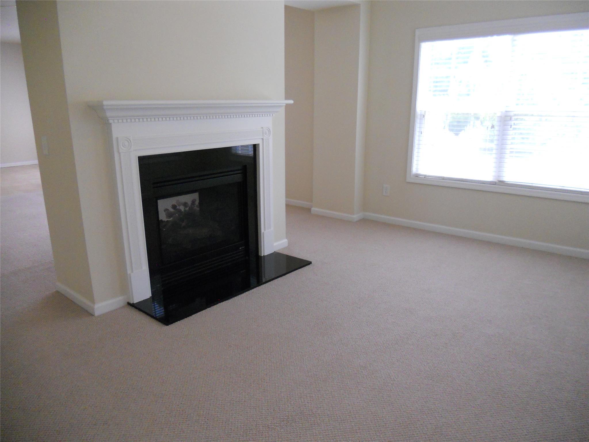 6879 Downs Ave, Duluth, GA 30097 photo 14