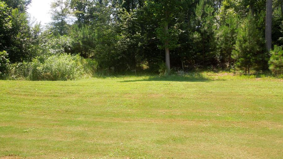 420 Deepstream Xing, Canton, GA 30115 photo 7