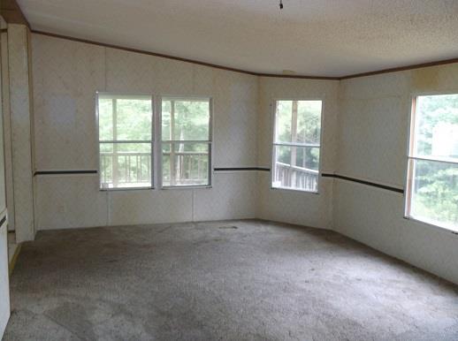 449 Fire Tower Rd, Rome, GA 30161 photo 5