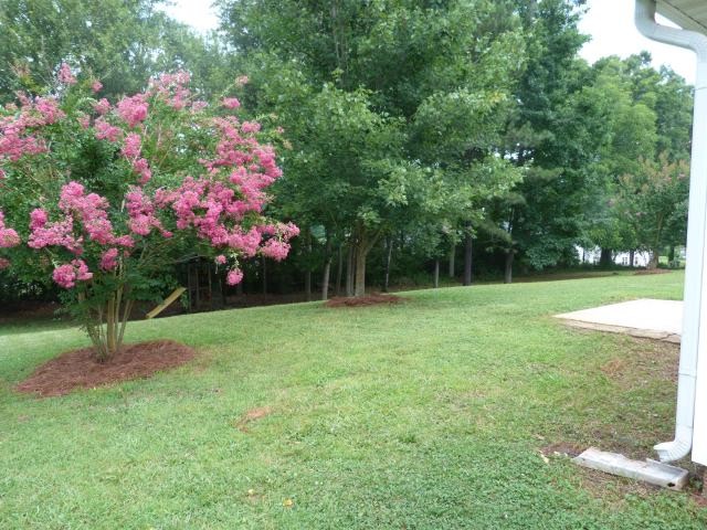 201 Greenleaf Dr, Hampton, GA 30228 photo 18