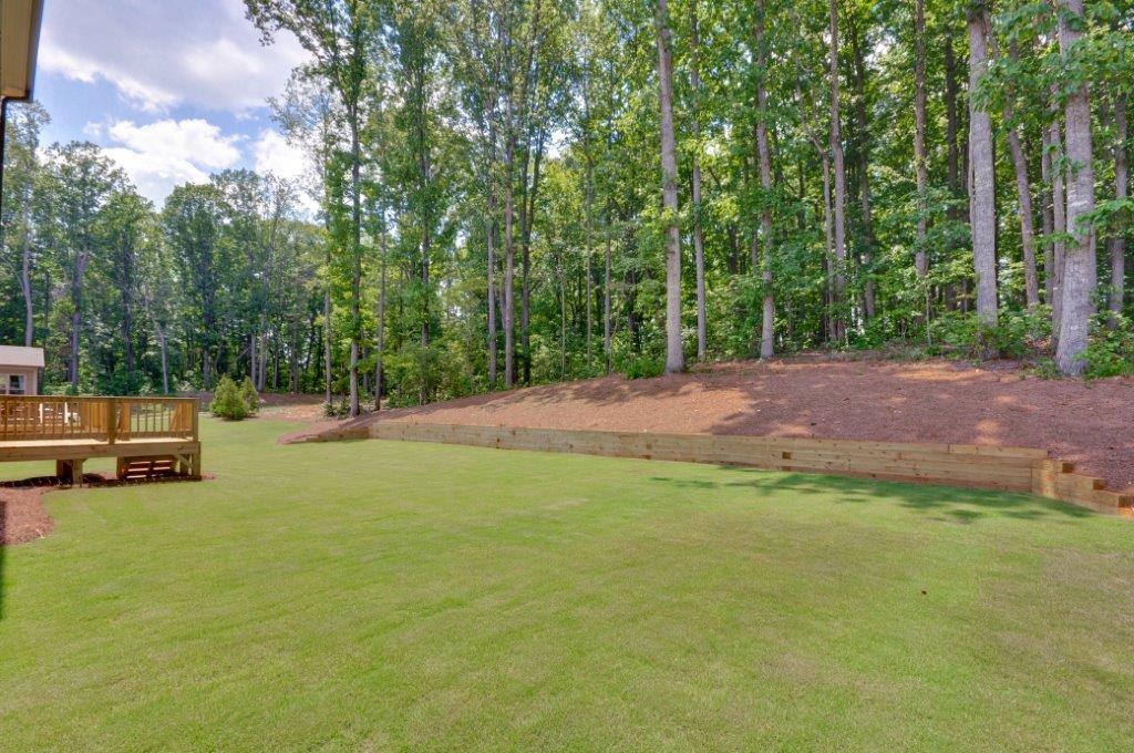 280 Park Haven Ln, Tyrone, GA 30290 photo 4