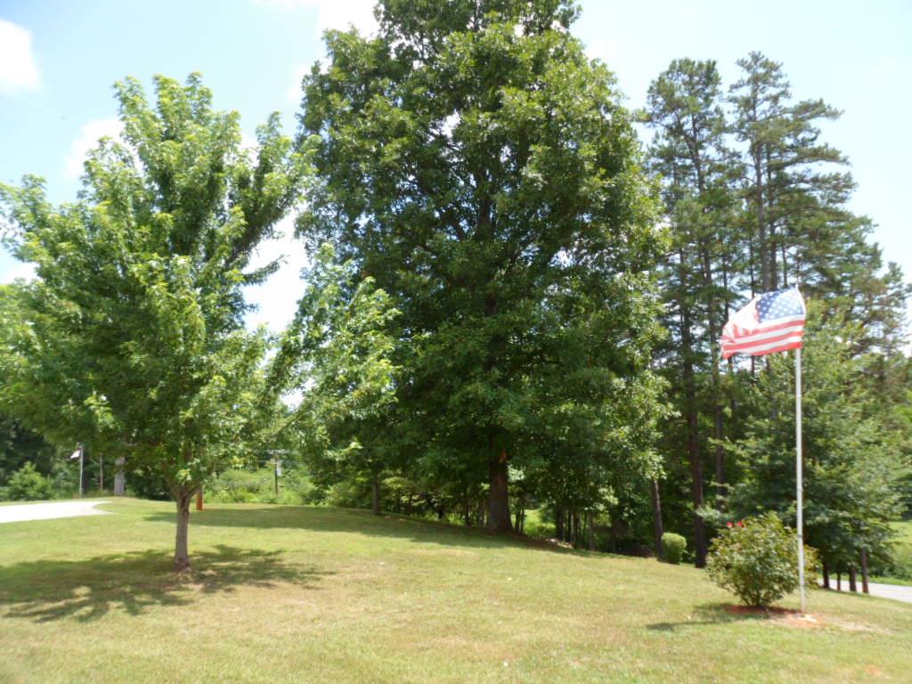 2217 Chase Rd, Cornelia, GA 30531 photo 20