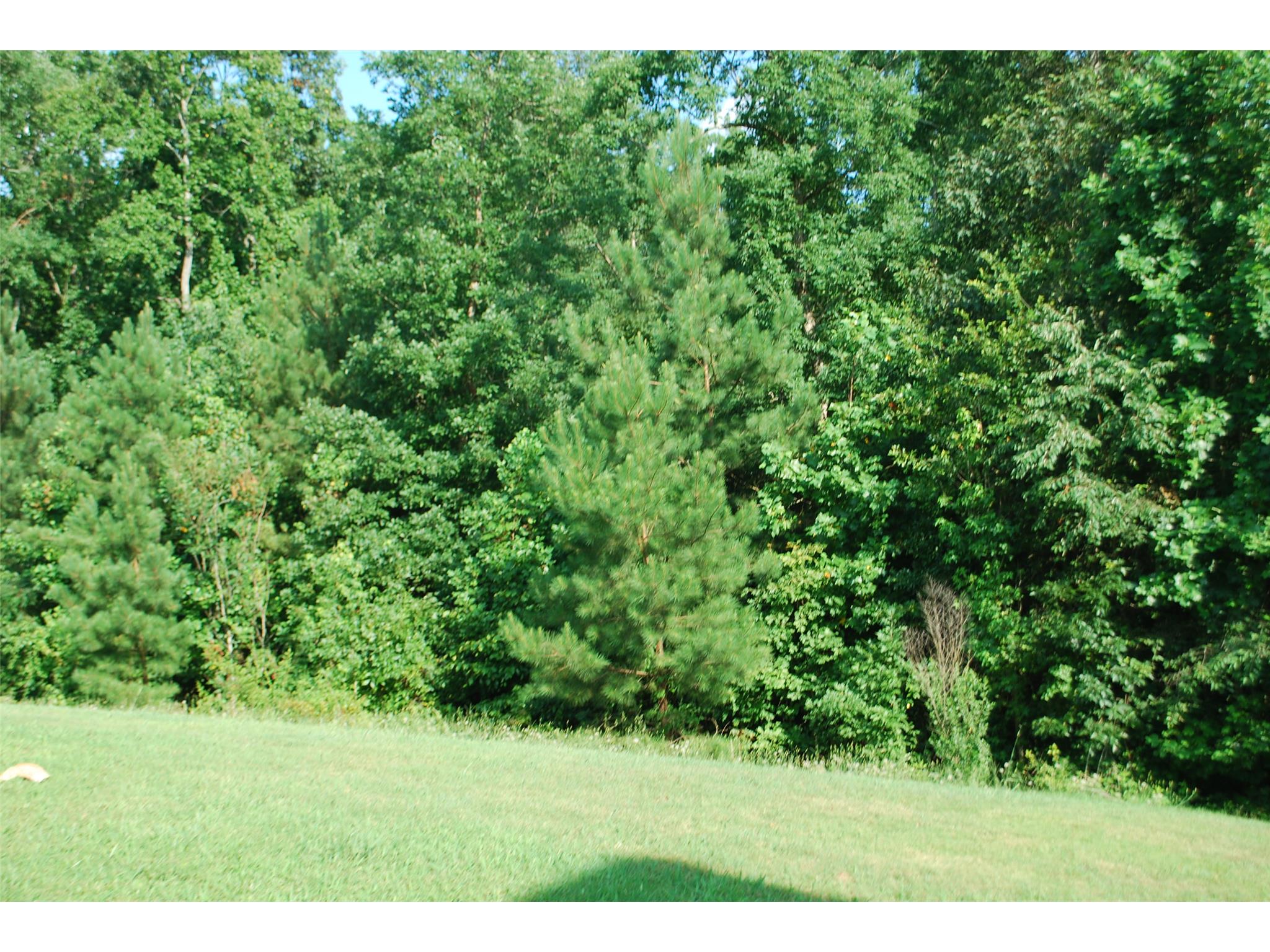 650 Creekview Blvd, Covington, GA 30016 photo 21
