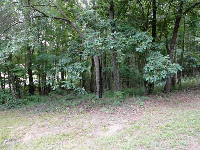 1721 Tipperary Cir, Monroe, GA 30656 photo 19