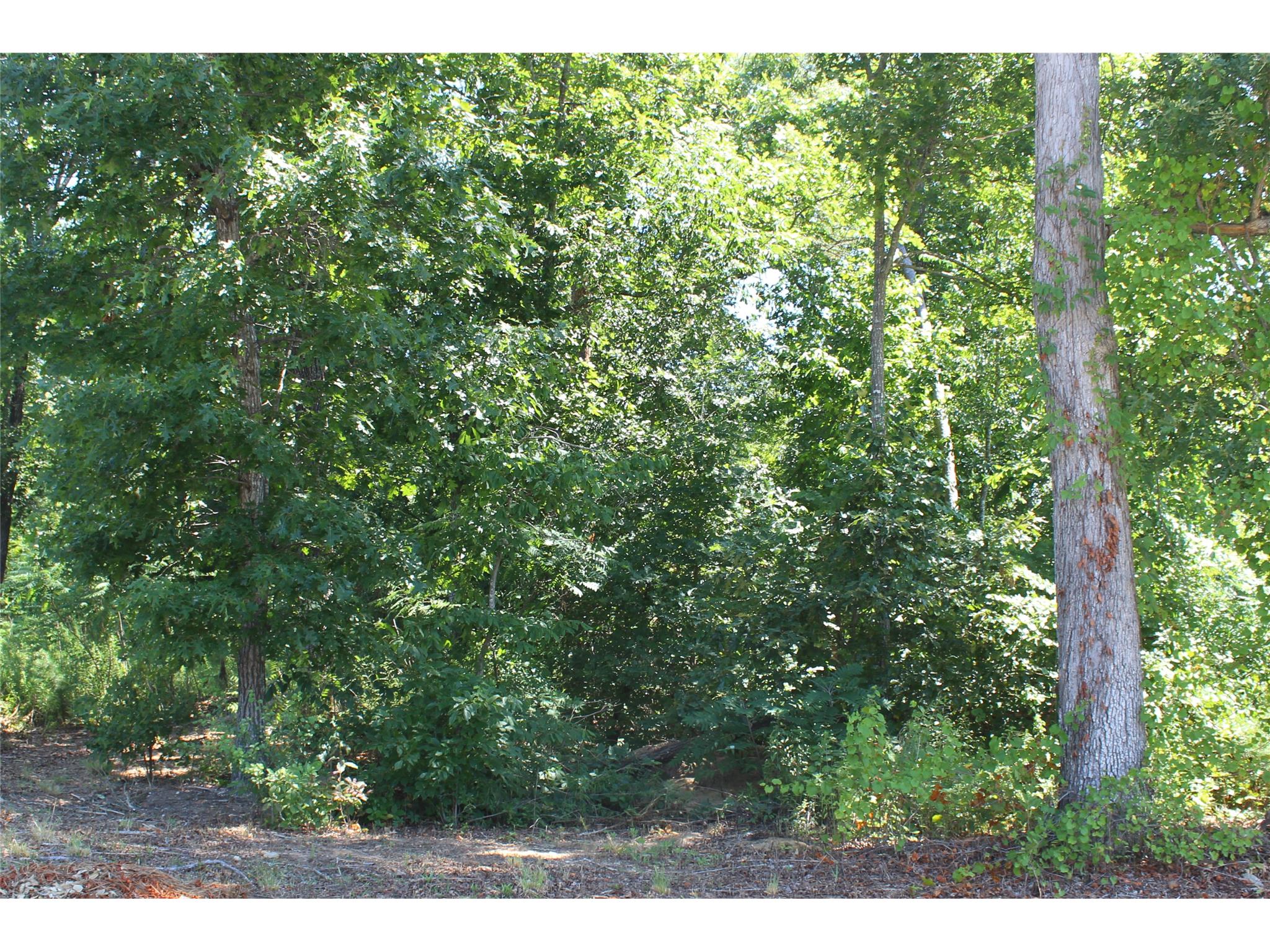 2008 Democracy Dr, Buford, GA 30519 photo 1