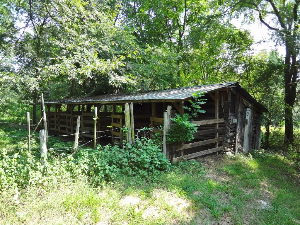 319 Gregory Rd, Covington, GA 30014 photo 6