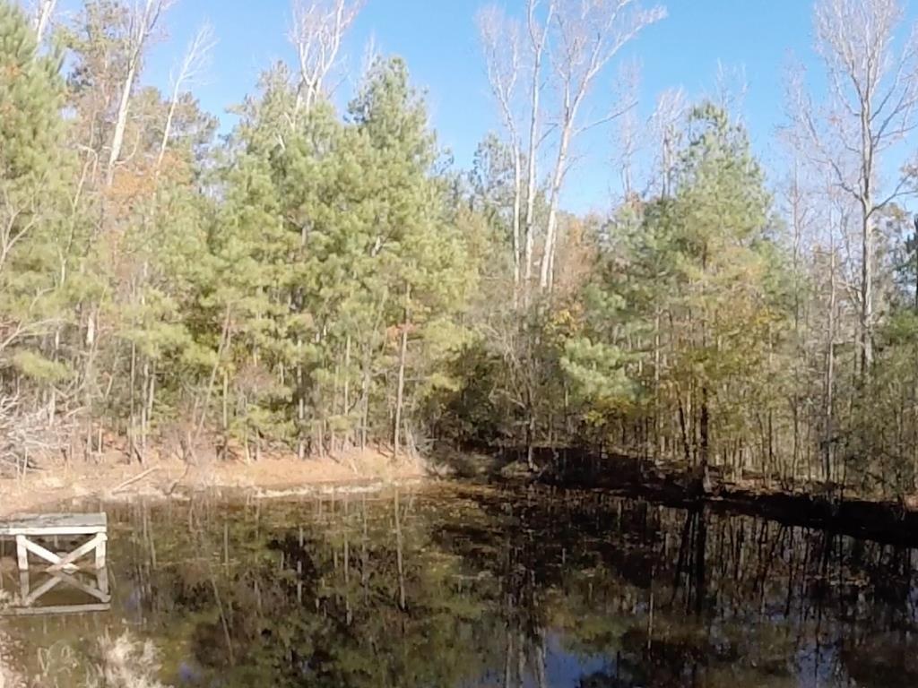 319 Gregory Rd, Covington, GA 30014 photo 8