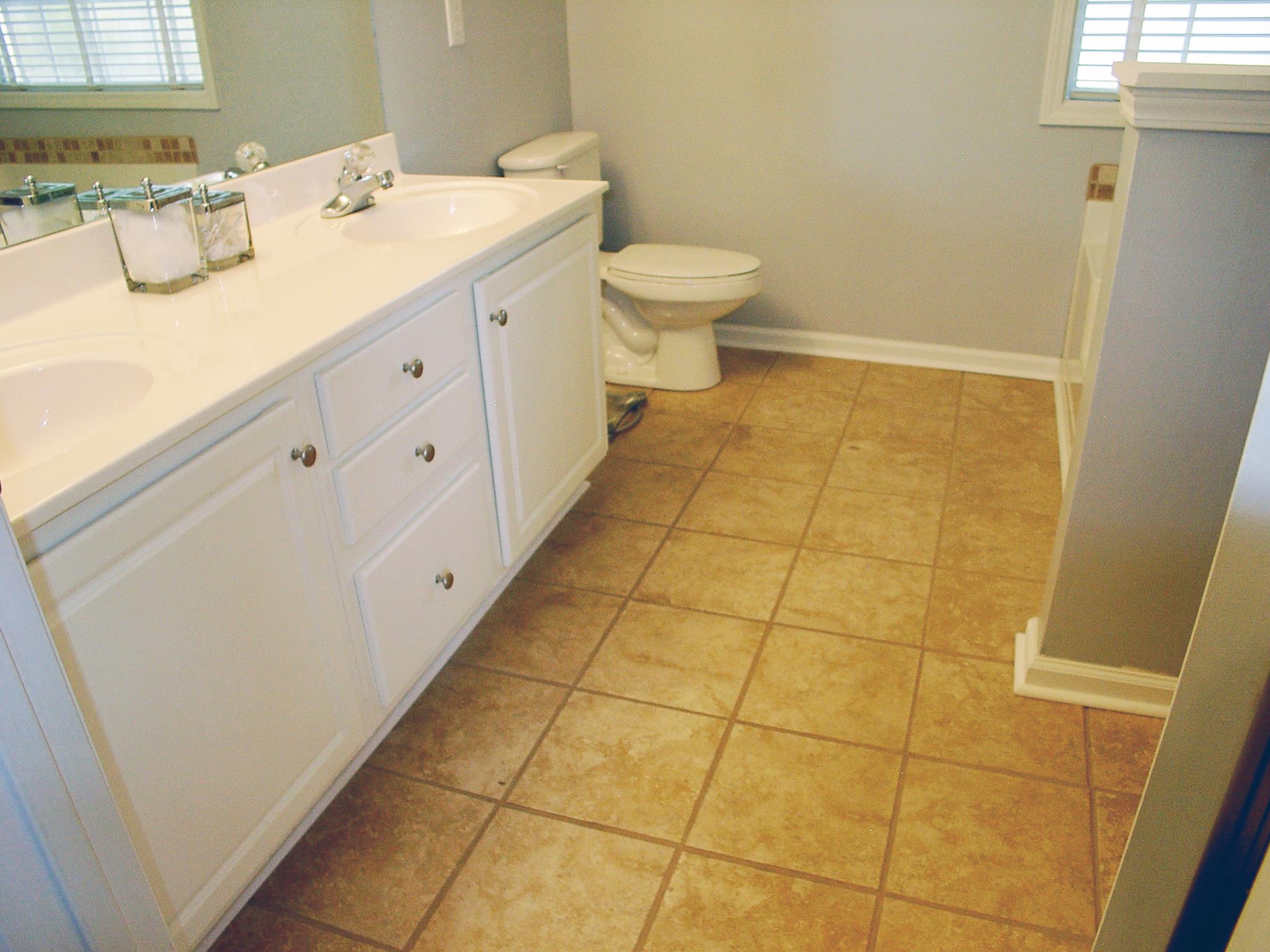 313 Hydesmere Dr, Buford, GA 30518 photo 10