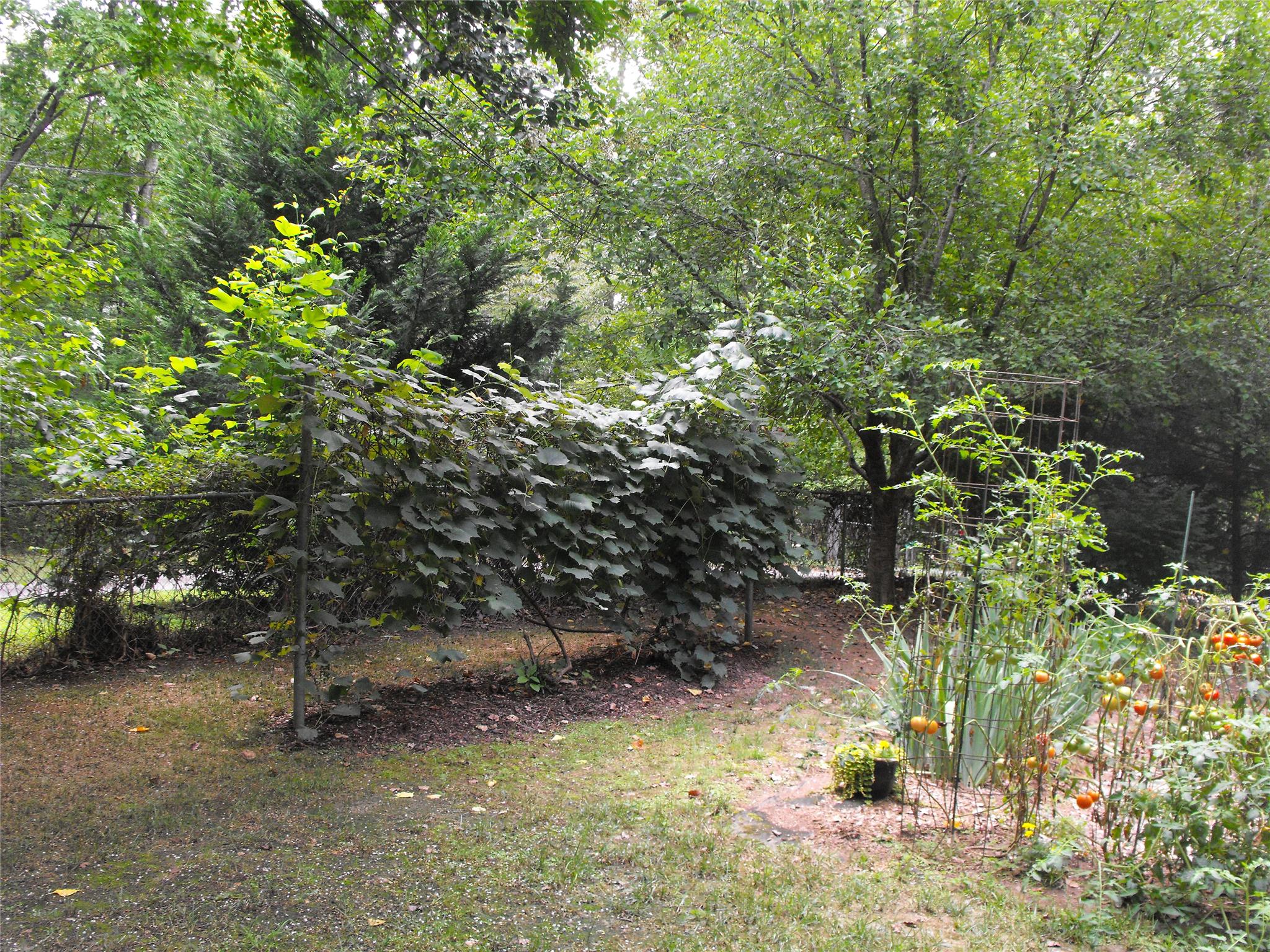 5259 Sugar Ridge Dr, Buford, GA 30518 photo 8