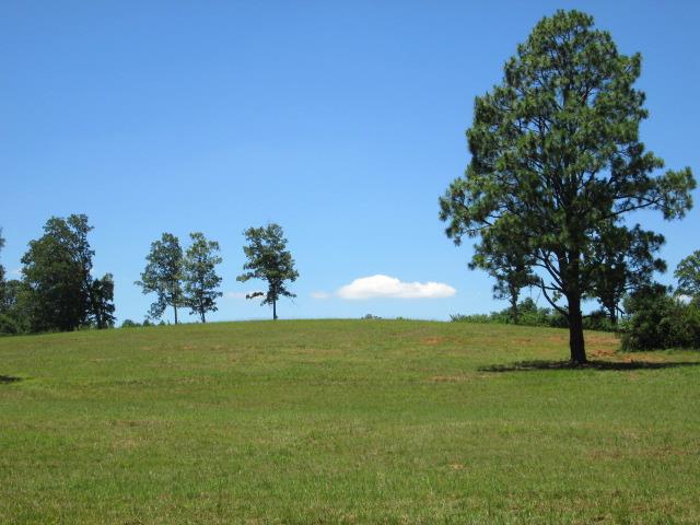 7116 Ridgeway Rd, Franklin, GA 30217 photo 24