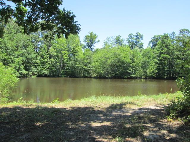 7116 Ridgeway Rd, Franklin, GA 30217 photo 23