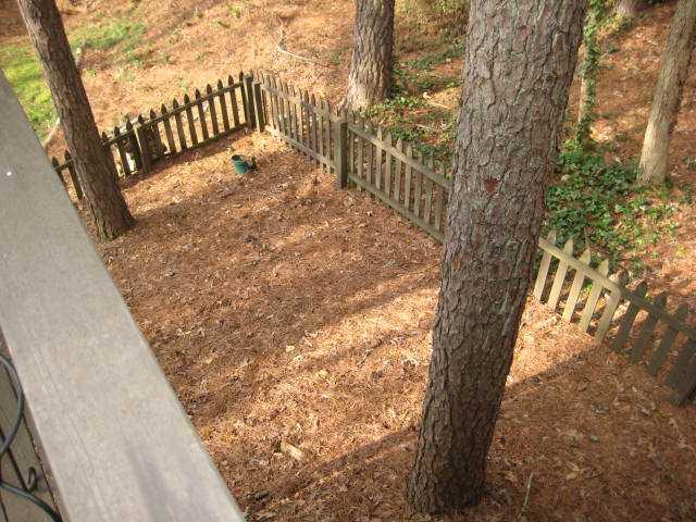 2574 Chippewa Ct, Duluth, GA 30096 photo 15