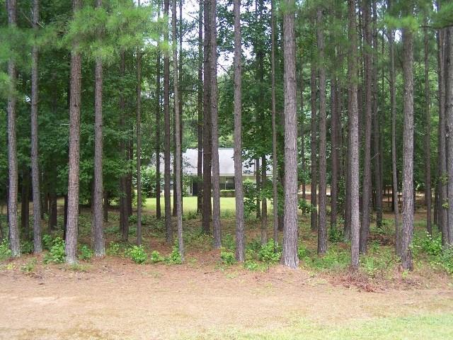 1200 Jackson Lake Rd, Jackson, GA 30233 photo 2