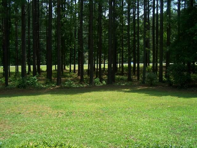 1200 Jackson Lake Rd, Jackson, GA 30233 photo 3