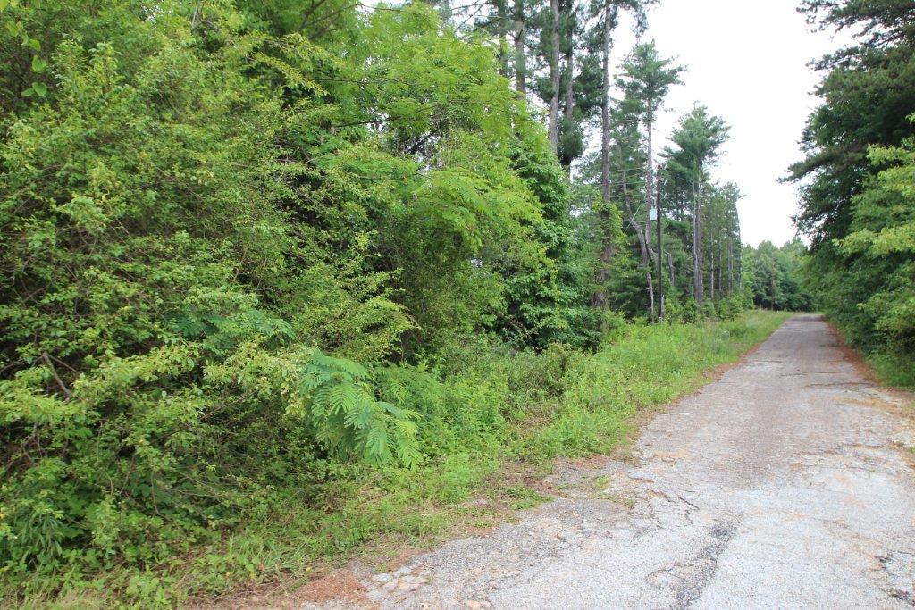 98 The View Ext, Toccoa, GA 30577 photo 2