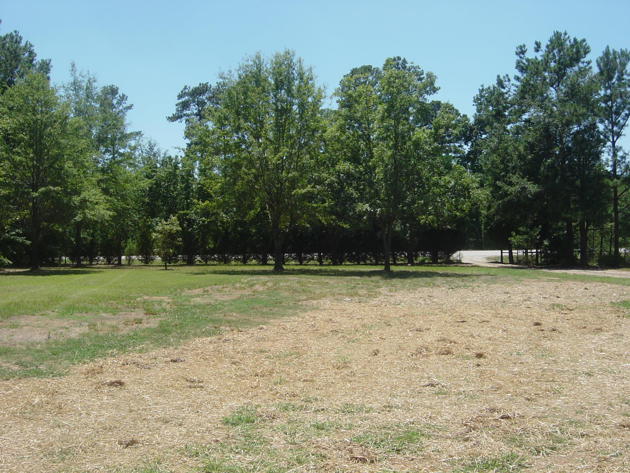 3210 Spears Rd, Madison, GA 30650 photo 19