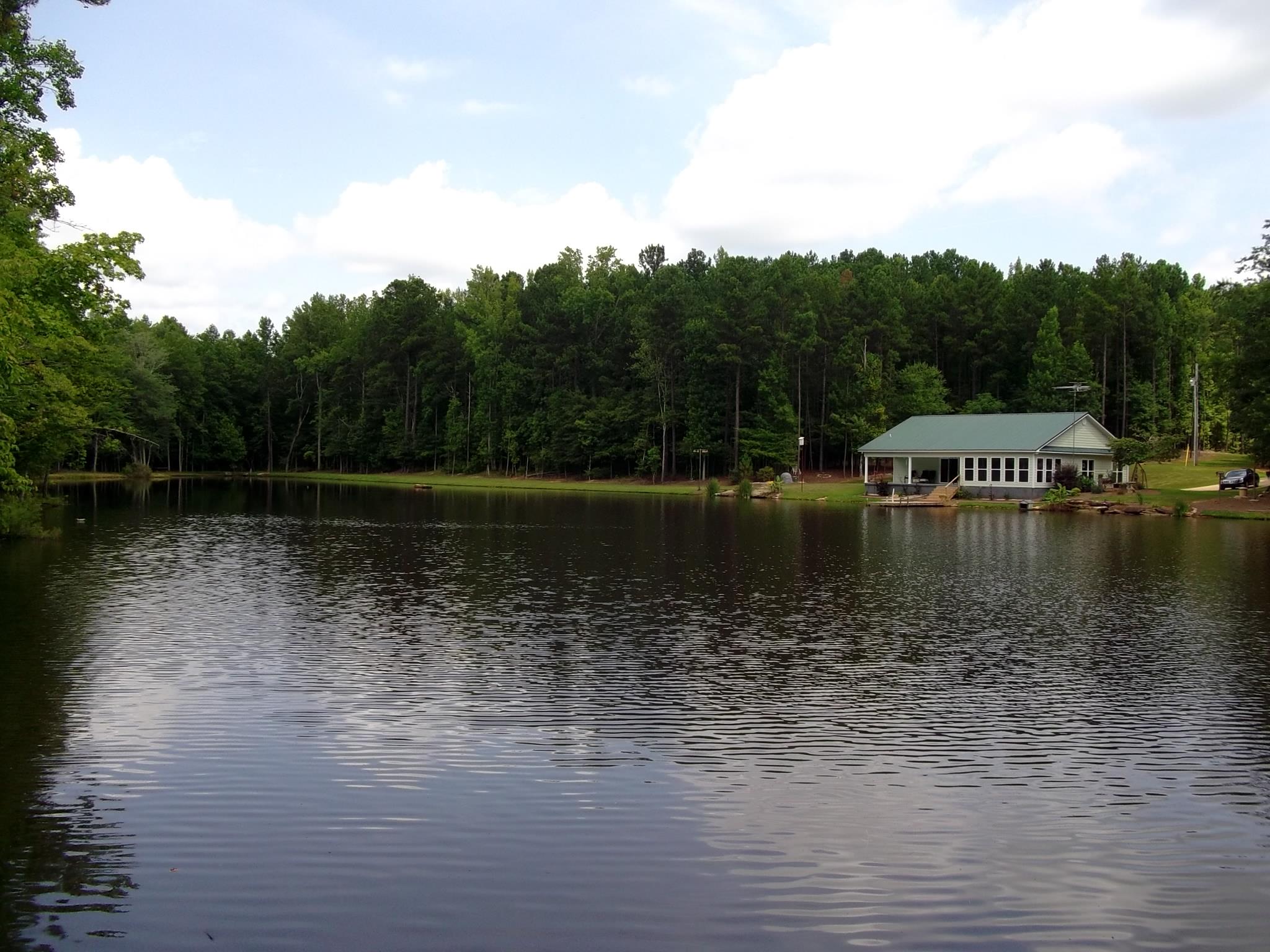2015 County Road 272, Five Points, AL 36855 photo 4