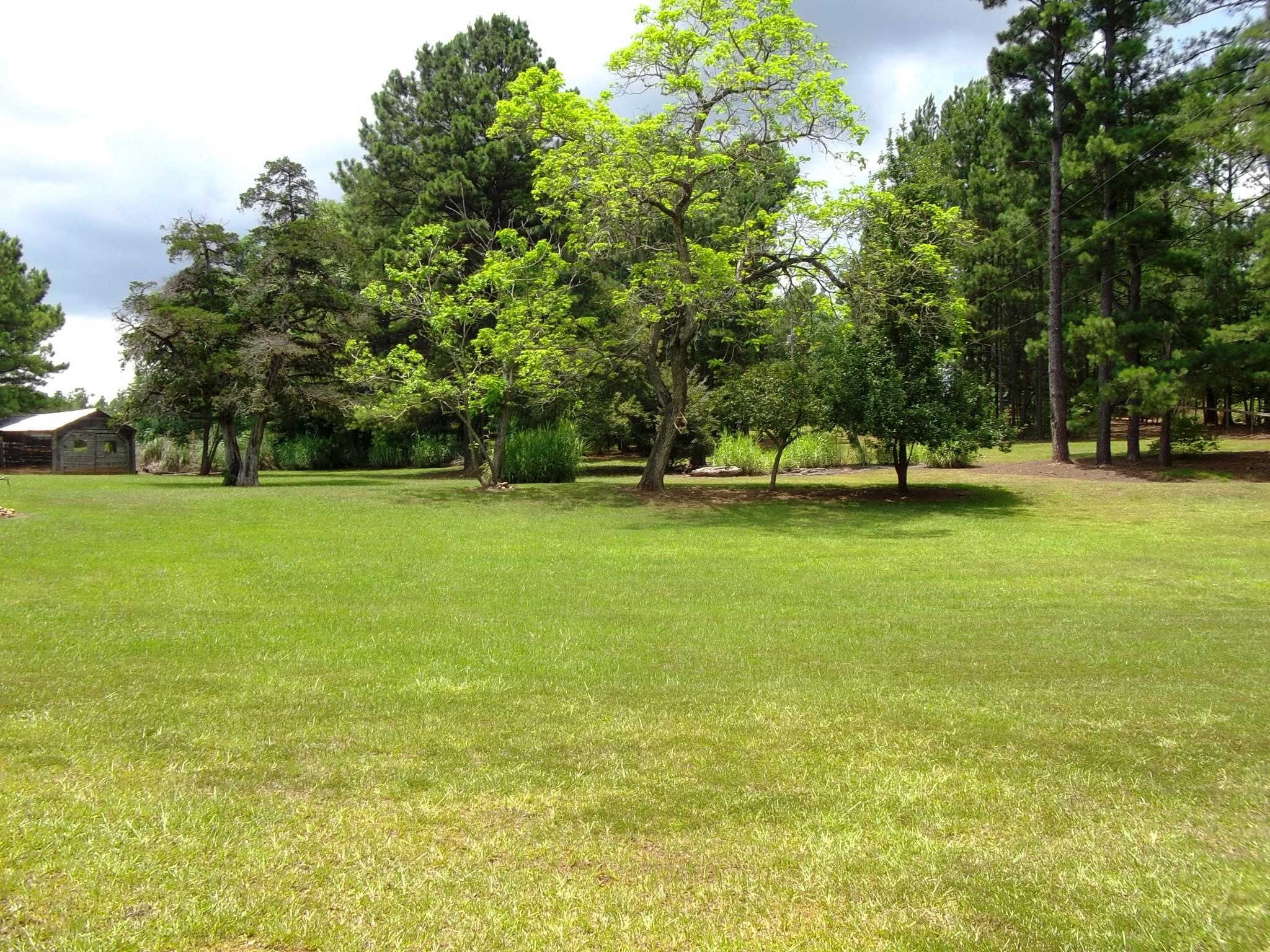 2015 County Road 272, Five Points, AL 36855 photo 23