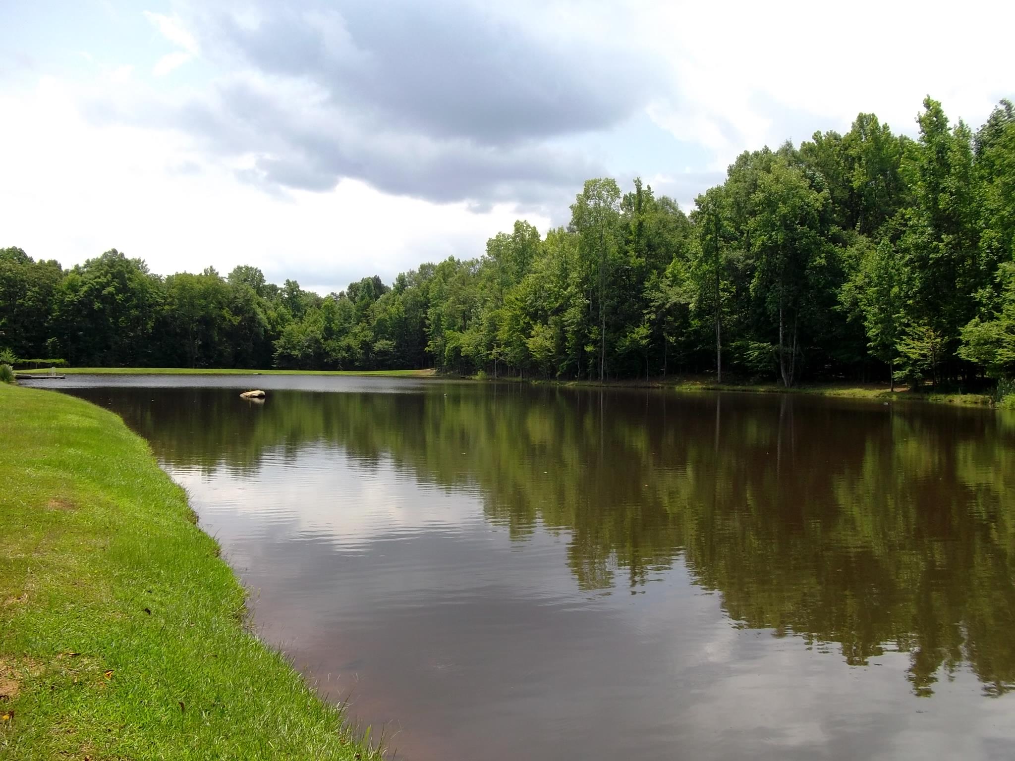2015 County Road 272, Five Points, AL 36855 photo 25