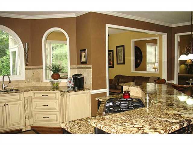 725 Spencer Mill Ct, Duluth, GA 30097 photo 4