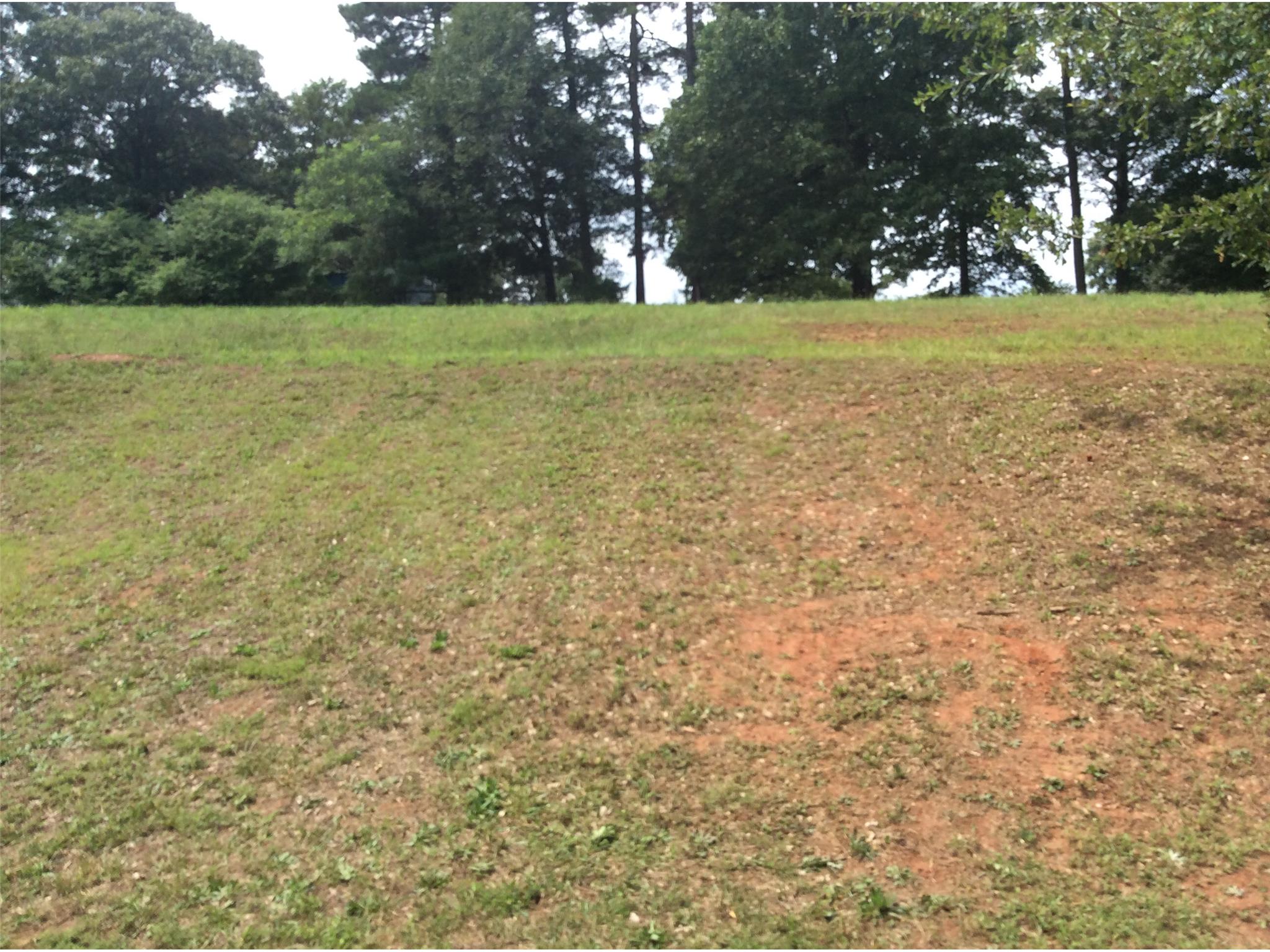 1364 Biedermeier Rd, Winder, GA 30680 photo 17