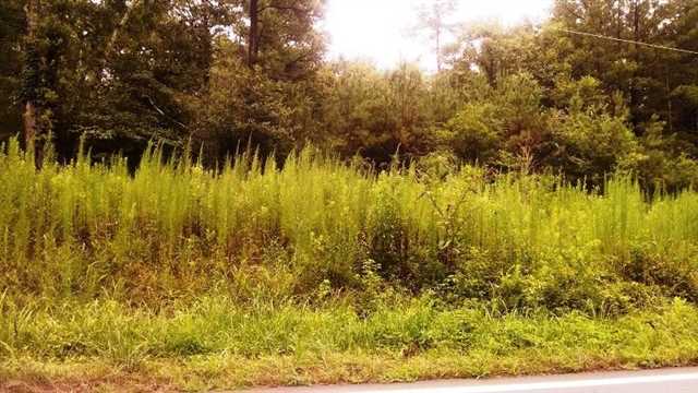 3851 Dixie Rd, Covington, GA 30014 photo 1