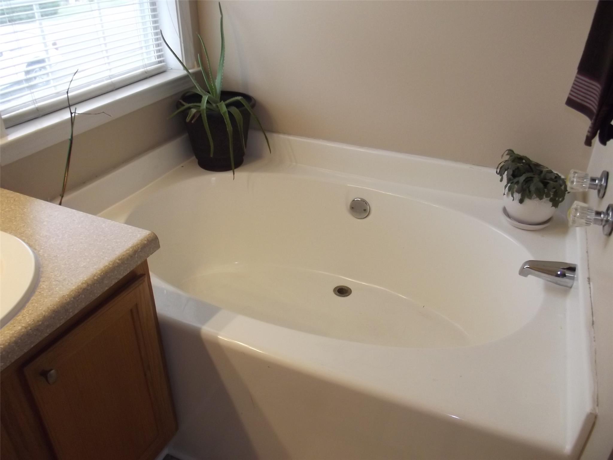 1684 Thorn Ridge Trl, Hampton, GA 30228 photo 6