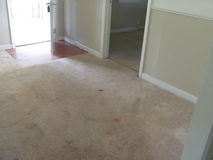 236 Carmichael St, Jackson, GA 30233 photo 17