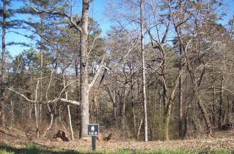 106 Timber Ridge Trl, Toccoa, GA 30577 photo 1