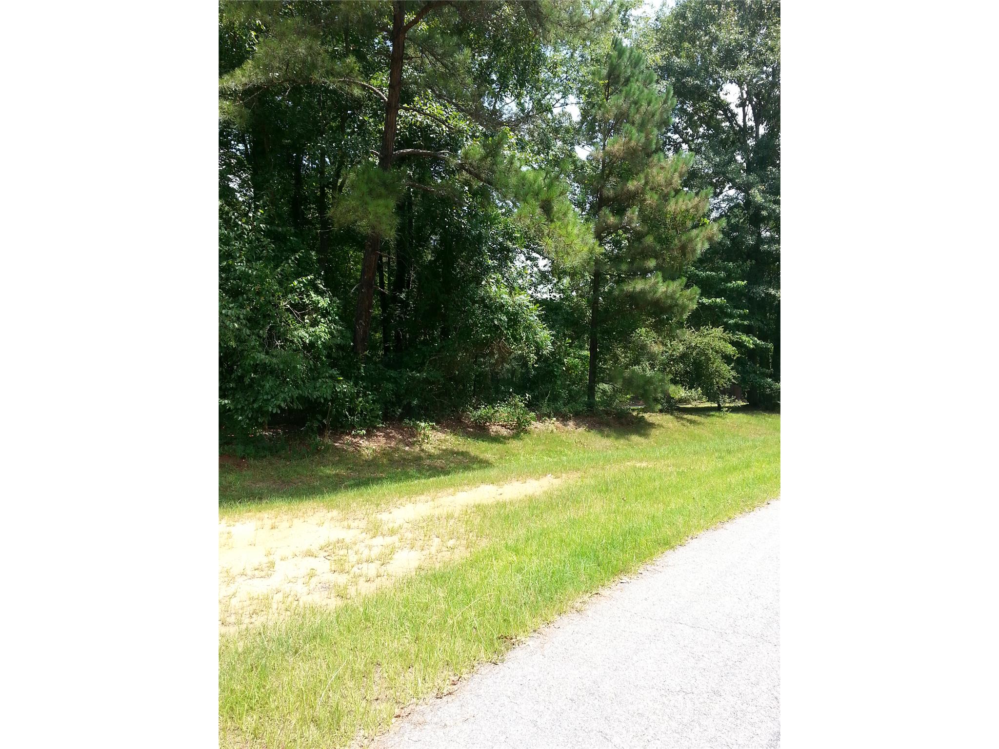 5665 Taylor Ter, Macon, GA 31210 photo 9