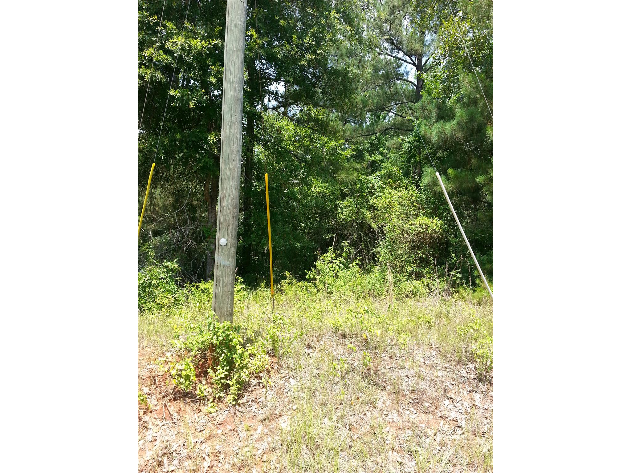 5665 Taylor Ter, Macon, GA 31210 photo 10