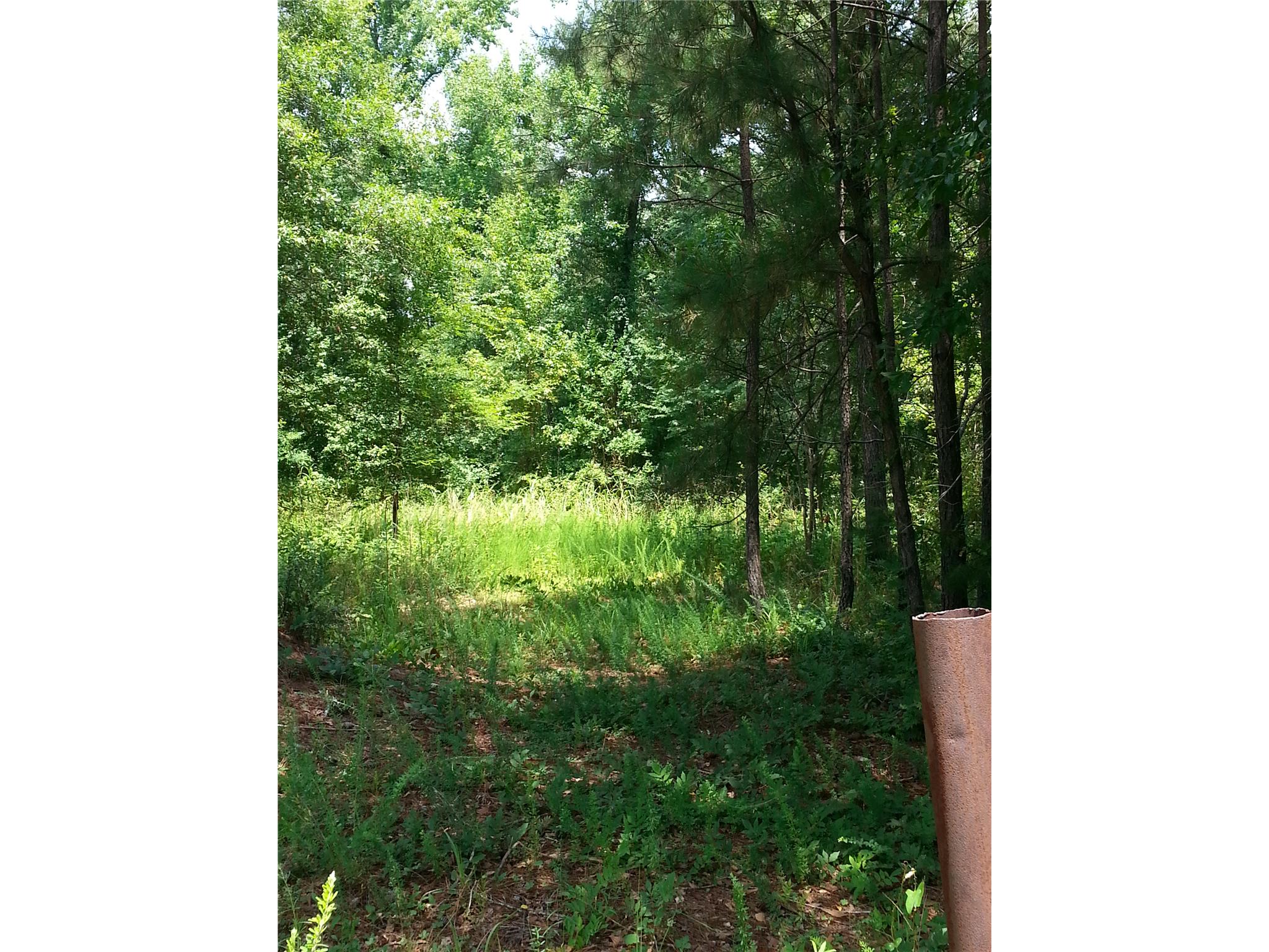 5665 Taylor Ter, Macon, GA 31210 photo 4