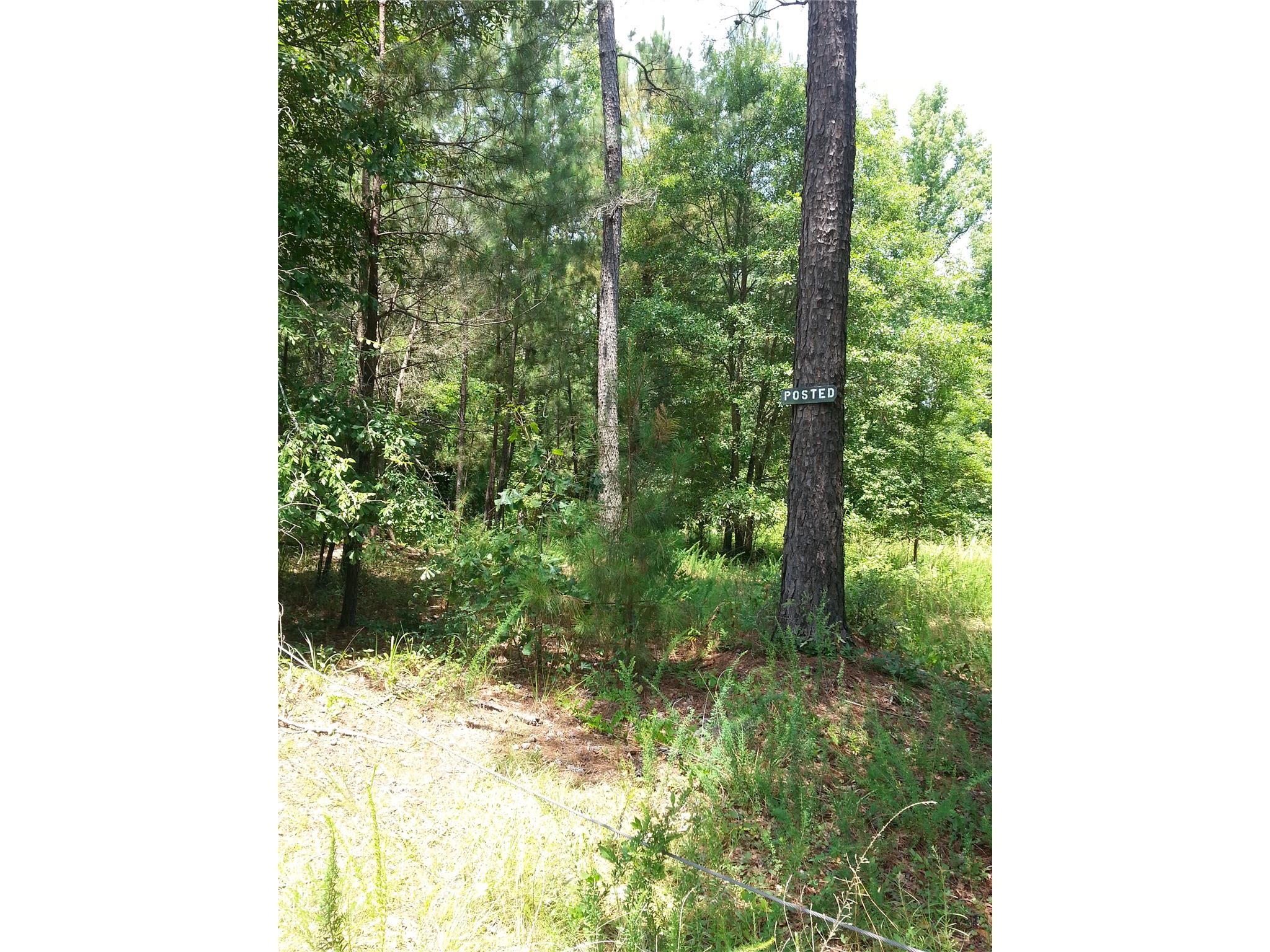 5665 Taylor Ter, Macon, GA 31210 photo 5