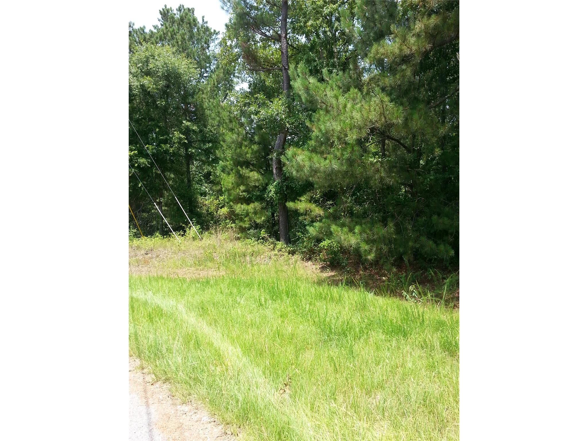 5665 Taylor Ter, Macon, GA 31210 photo 6