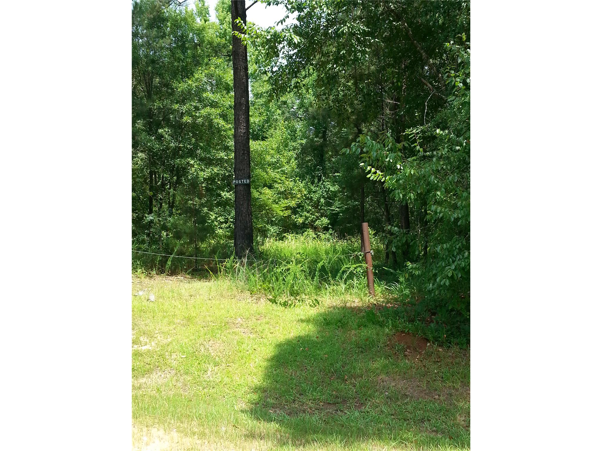 5665 Taylor Ter, Macon, GA 31210 photo 3