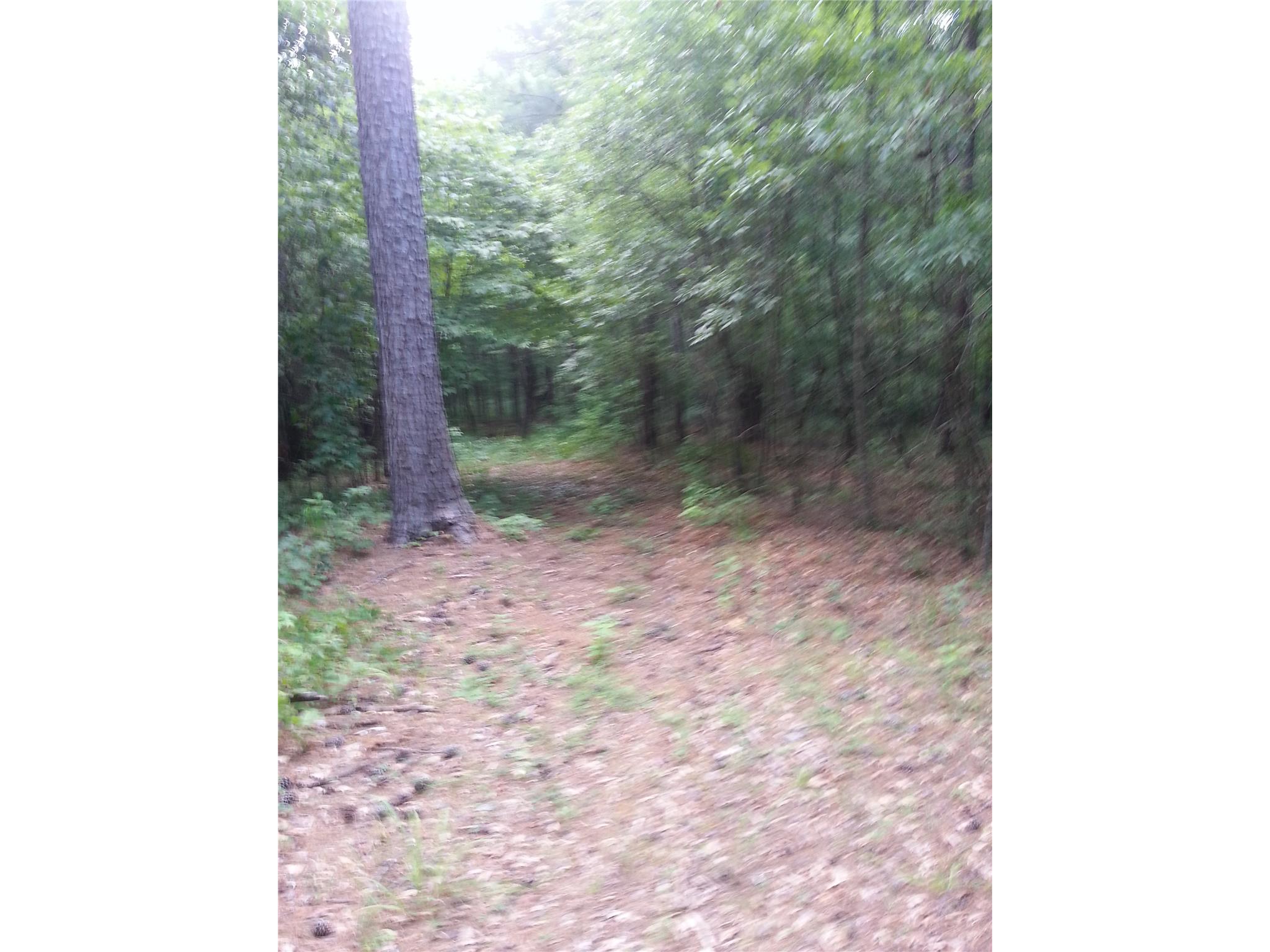 5665 Taylor Ter, Macon, GA 31210 photo 12