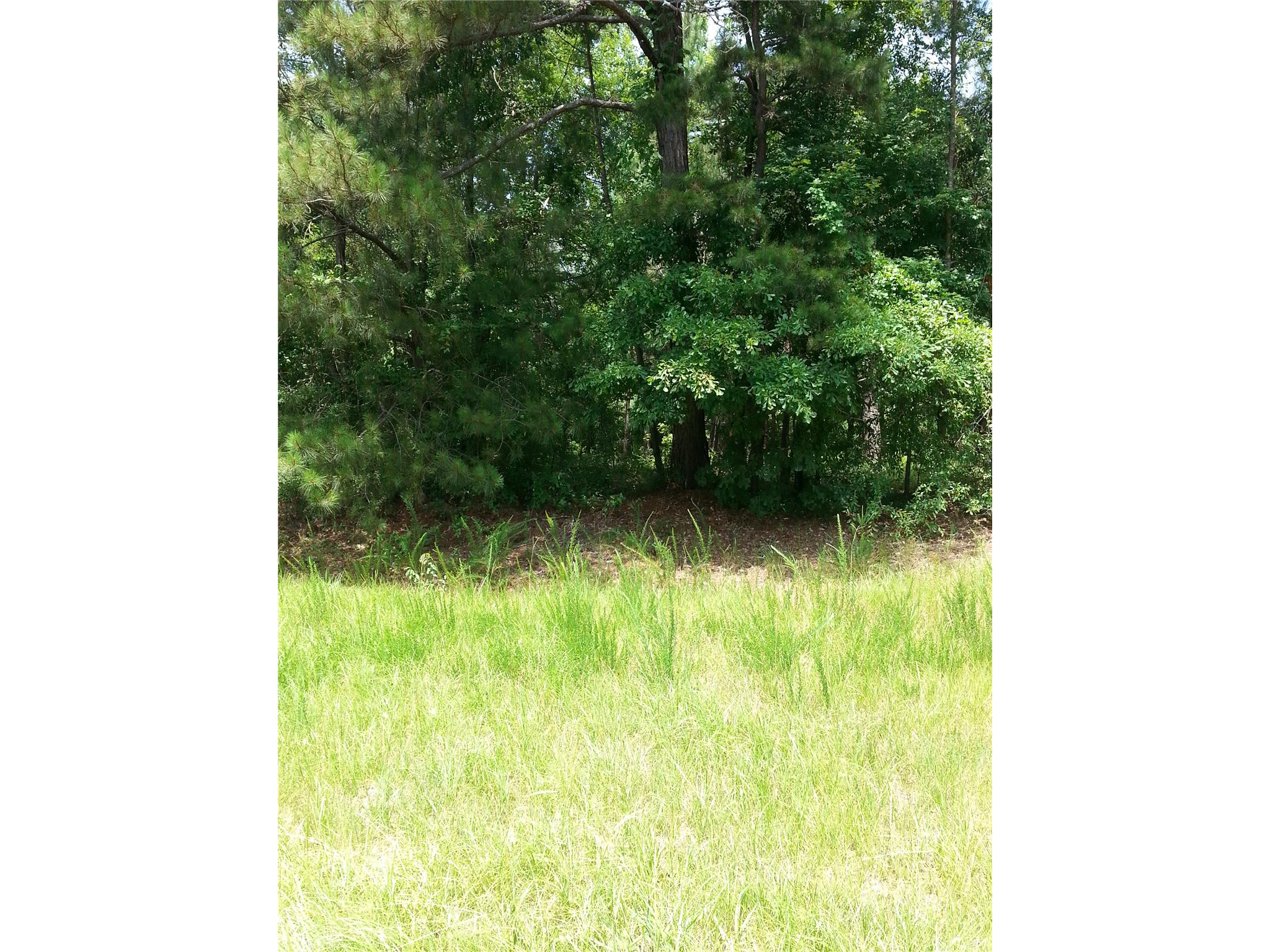 5665 Taylor Ter, Macon, GA 31210 photo 7