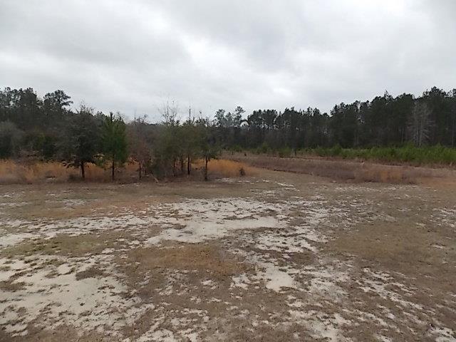 377 Riverside Dr, Guyton, GA 31312 photo 14