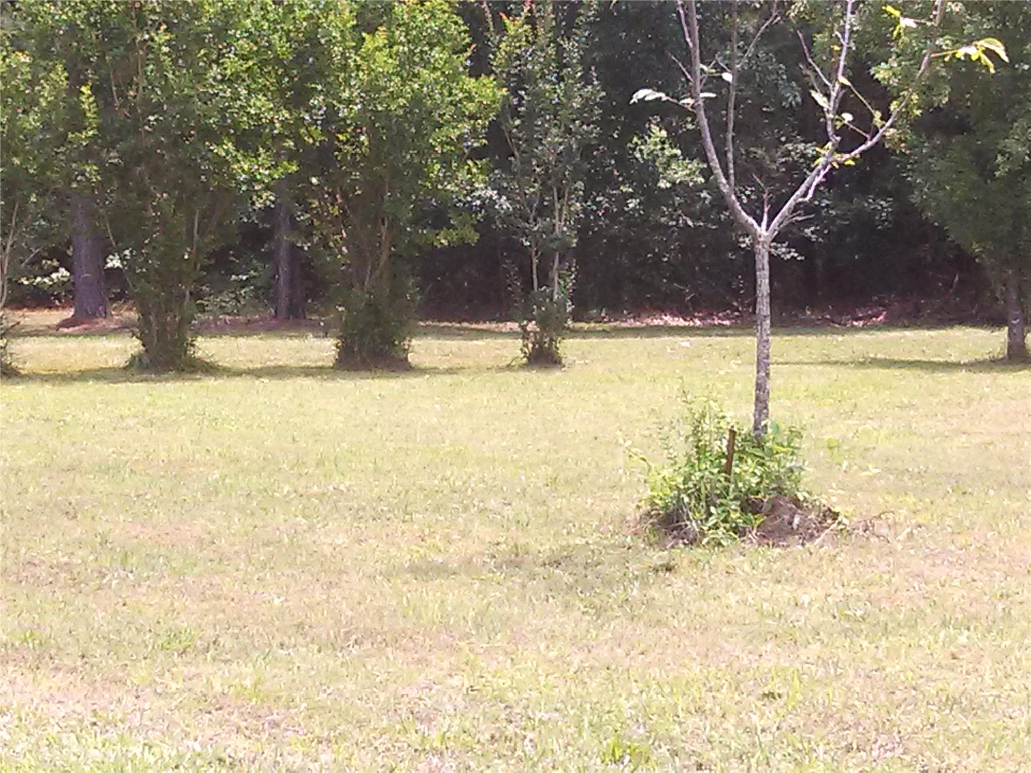 8091 Blacks Bluff Rd, Cave Spring, GA 30124 photo 17