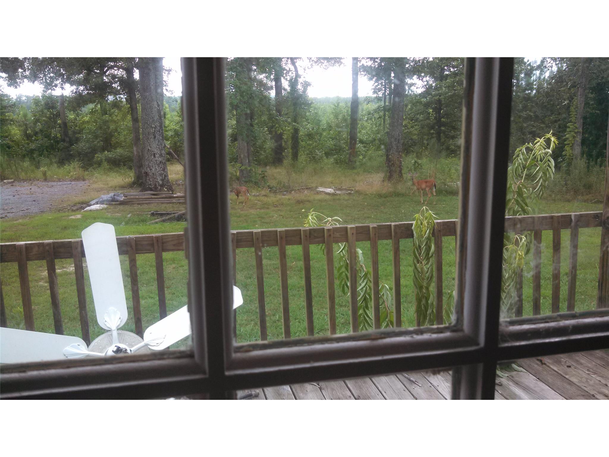 8091 Blacks Bluff Rd, Cave Spring, GA 30124 photo 20