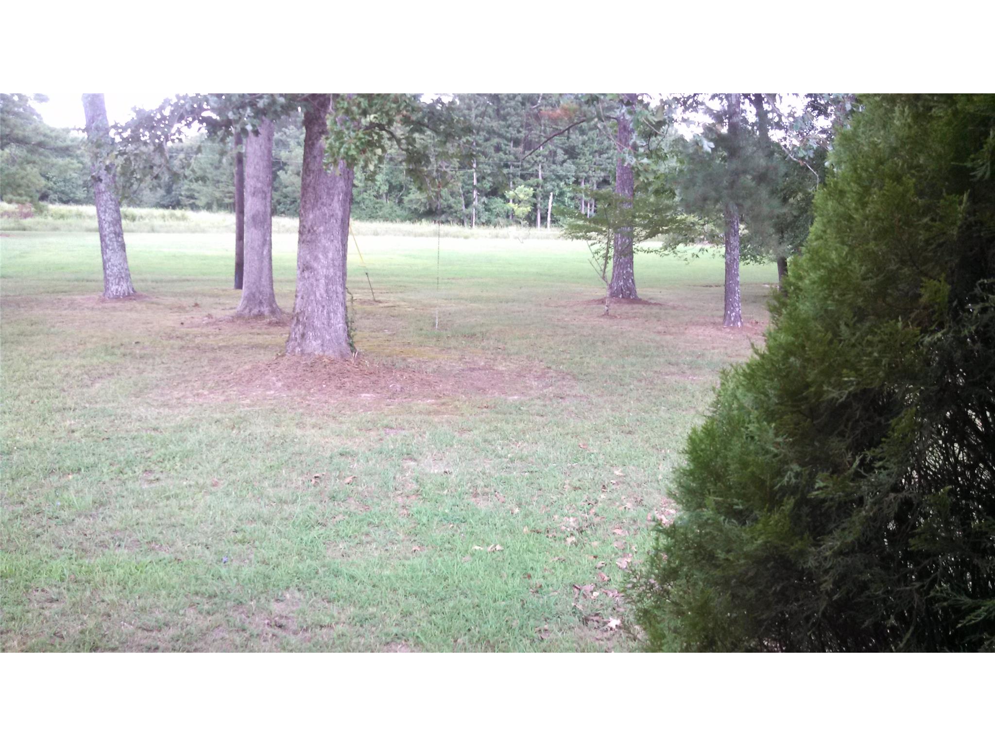 8091 Blacks Bluff Rd, Cave Spring, GA 30124 photo 19