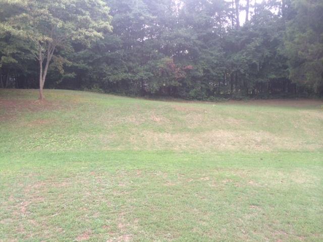 508 Fort St, Winder, GA 30680 photo 21