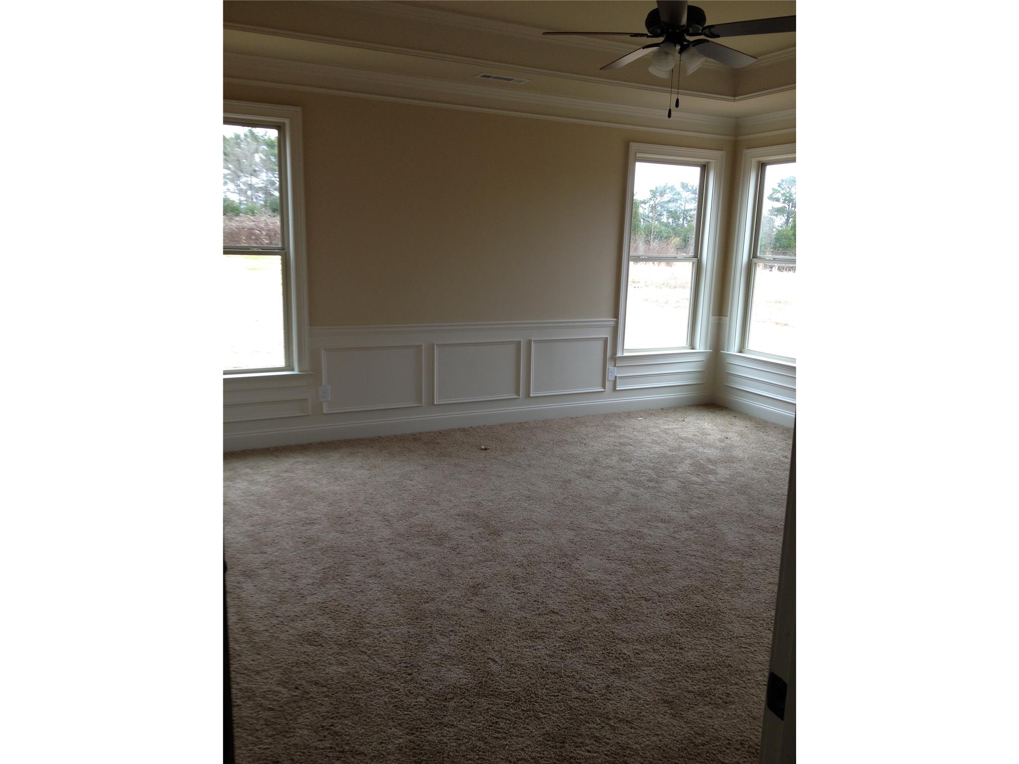 149 Traditions Ln, Hampton, GA 30228 photo 7