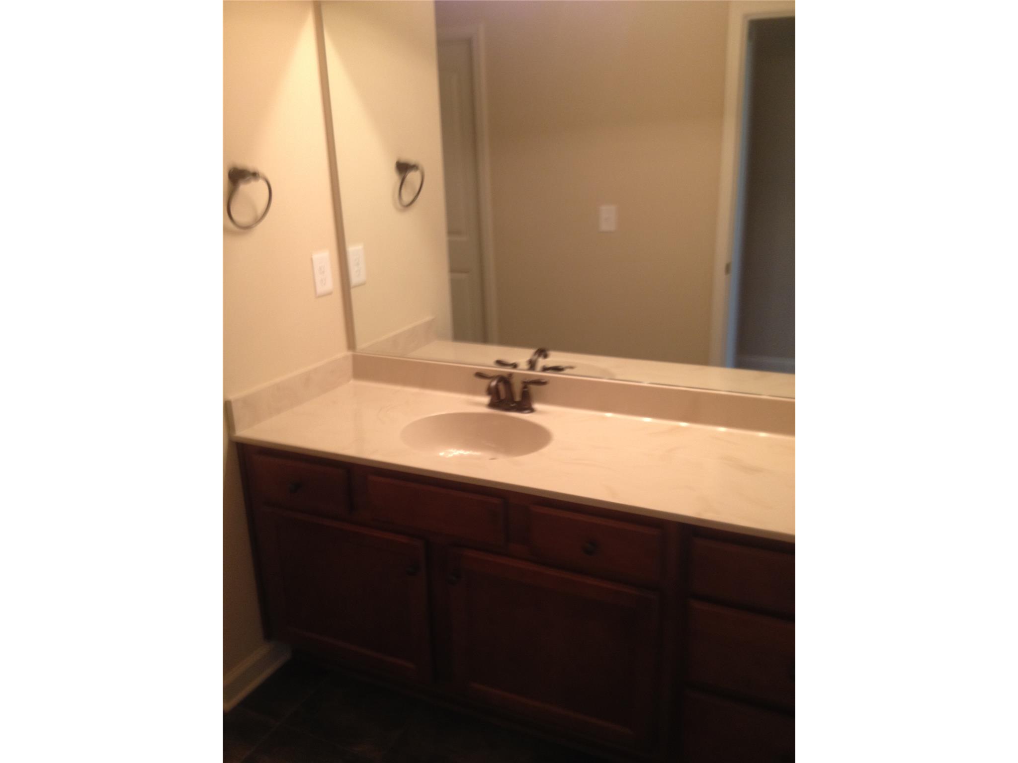 149 Traditions Ln, Hampton, GA 30228 photo 20