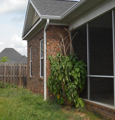 2553 Grier Cir, Evans, GA 30809 photo 12