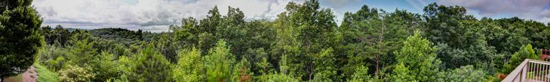 310 Twin Peaks Loop, Canton, GA 30114 photo 13
