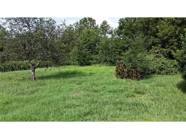 225 Mitchell Dr, Barnesville, GA 30204 photo 3