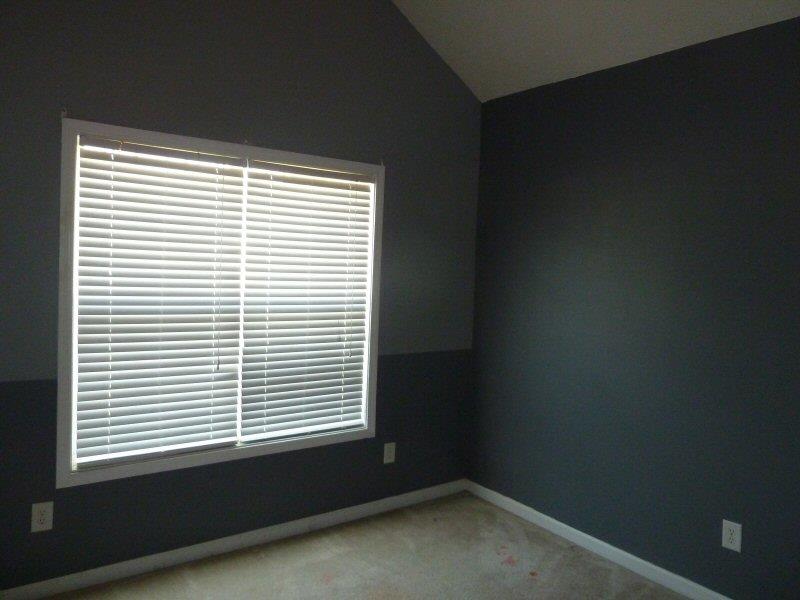 11478 Vinea Way, Hampton, GA 30228 photo 10