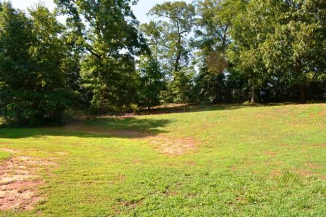 20 Matthew Ct, Covington, GA 30016 photo 12