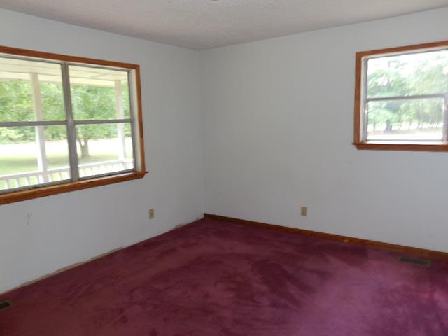 199 Ridgeway Rd, Milner, GA 30257 photo 8
